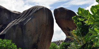 seychelles-4686866_1280.jpg