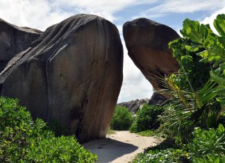 seychelles-4686866_1280.jpg