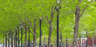 Werka - studia projektowanie terenów zieleni (2).jpg